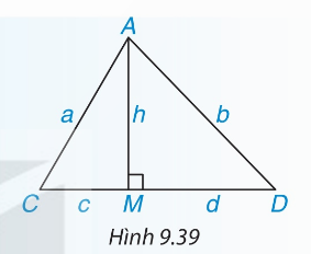Hình 9.39 — cột AM thẳng đứng, dây AC và AD