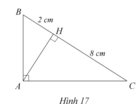 Hình 17 — tam giác ABC vuông tại A, AH ⊥ BC, HB = 2, HC = 8