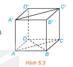 hình lập phương $ABCD.A'B'C'D'$.