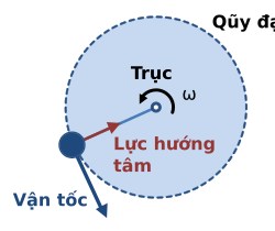 Lực hướng tâm