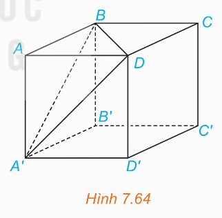 (H.7.64)