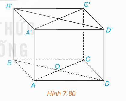 Chiều cao của hình lăng trụ