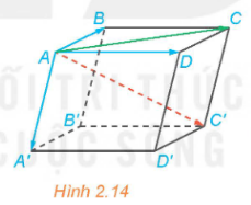 hình hộp $ABCD.A'B'C'D'$.