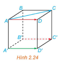 hình lập phương $ABCD.A'B'C'D'$.