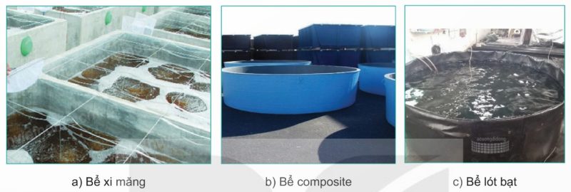 Bể ương nuôi tôm giống (bể xi măng, bể composite, bể lót bạt) (Ảnh sách kntt)