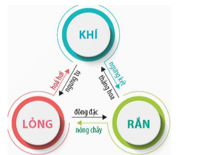 Sơ đồ các hình thức chuyển thể