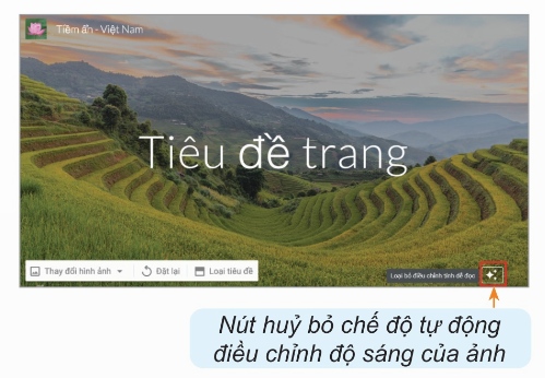 Bỏ tự động điều chỉnh độ sáng của ảnh (Ảnh Sách KNTT)
