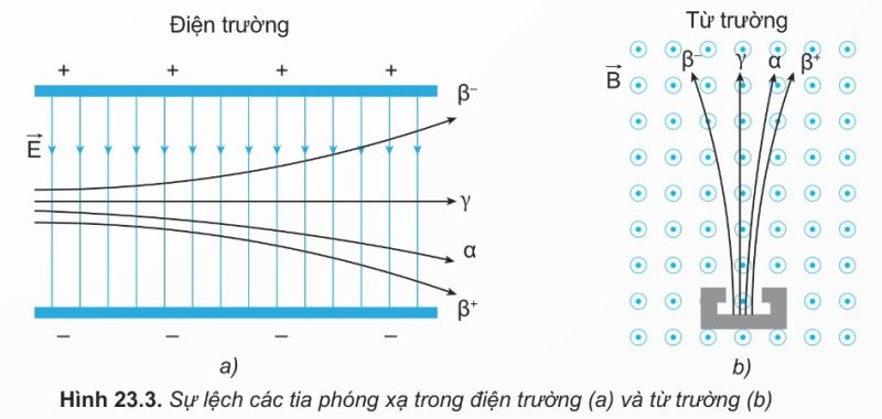 CÁC DẠNG PHÓNG XẠ