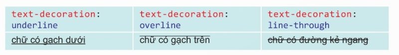 Các định dạng đường kẻ ngang dòng văn bản (Ảnh Sách KNTT)