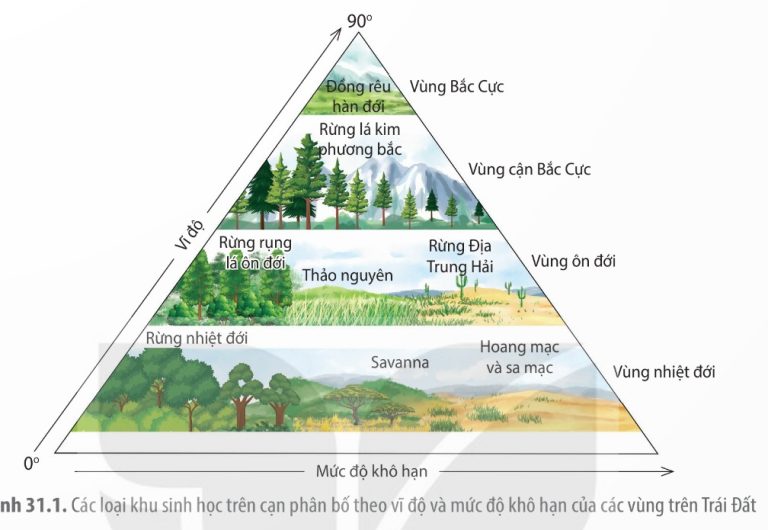 Một số khu sinh học trên cạn