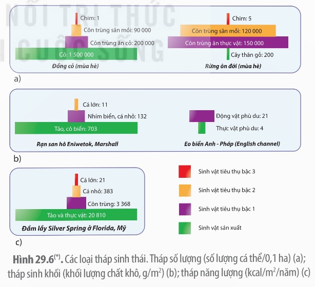 Ba loại tháp sinh thái