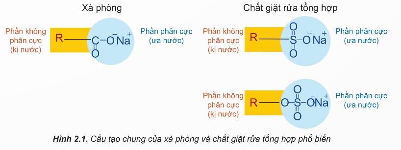 Cấu tạo phân tử xà phòng và chất giặt rửa