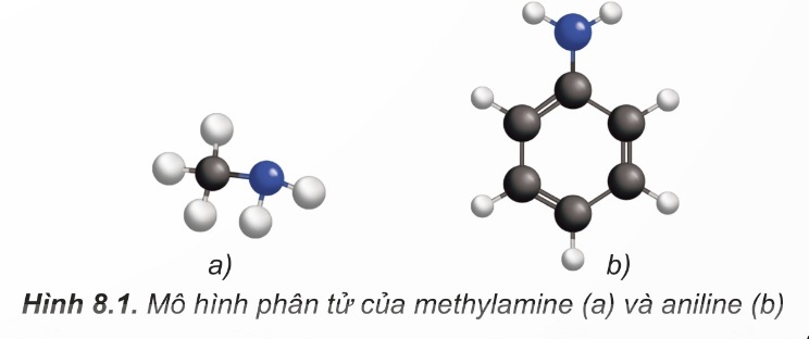 Đặc điểm cấu tạo phân tử