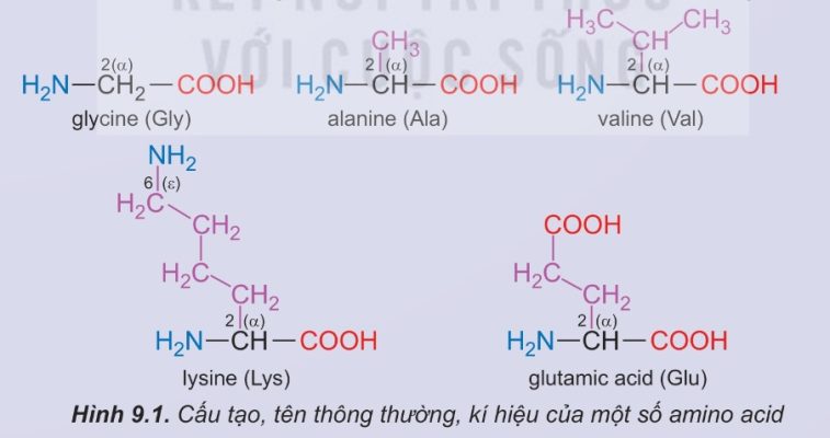 Danh pháp (Hình 9.1, Bảng 9.1 SGK)