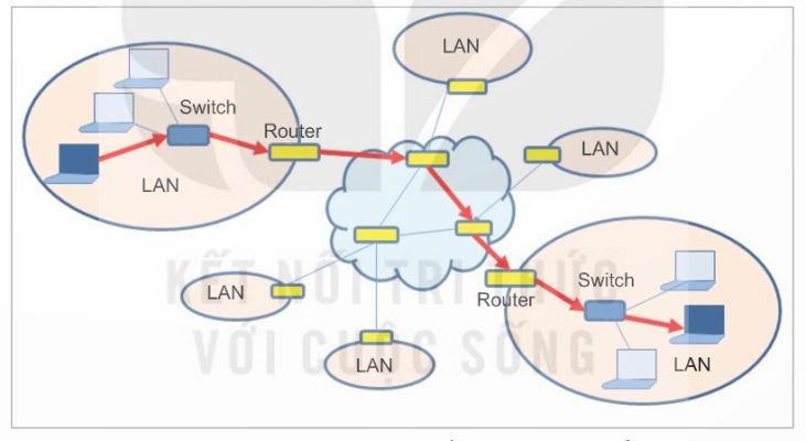 Dữ liệu từ máy gửi đến máy nhận có thể trung chuyển qua nhiều router (Ảnh Sách KNTT)
