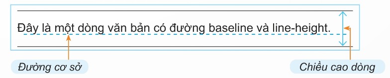 Đường cơ sở và chiều cao dòng văn bản (Ảnh Sách KNTT)
