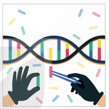 Giải trình tự gene (Ảnh Sách KNTT)