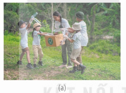 Giáo dục môi trường giúp mọi người tự nguyện hành động vì môi trường