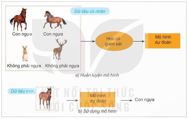Hai pha của mô hình học có giám sát (phân loại dữ liệu) (Ảnh Sách KNTT)
