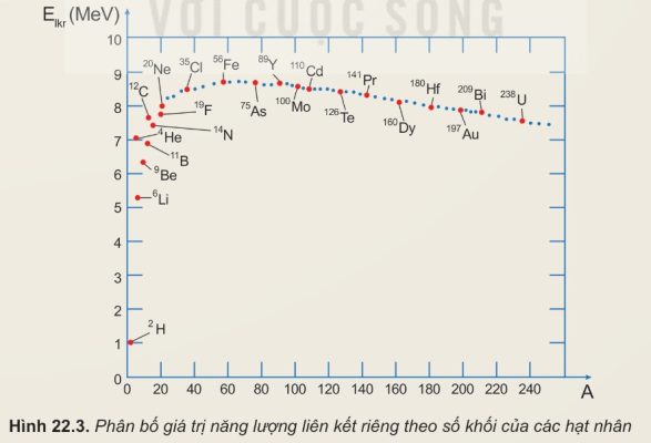 Mối liên hệ giữa năng lượng liên kết riêng và độ bền vững của hạt nhân