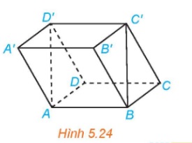 hình hộp $ABCD.A'B'C'D'$.