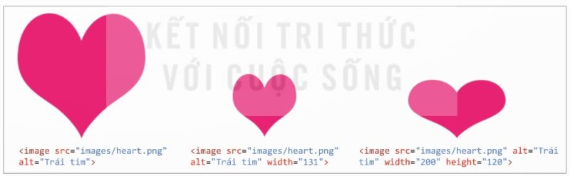 Kết quả hiển thị với các thiết lập kích thước khác nhau của cùng một ảnh (Ảnh Sách KNTT)
