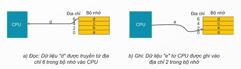 Minh họa trao đổi dữ liệu giữa CPU và bộ nhớ