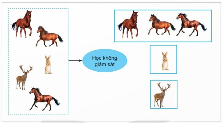 Mô hình học không giám sát (phân cụm dữ liệu) (Ảnh Sách KNTT)