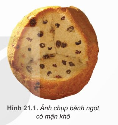 Mô hình nguyên tử "bánh mận" (Thomson)