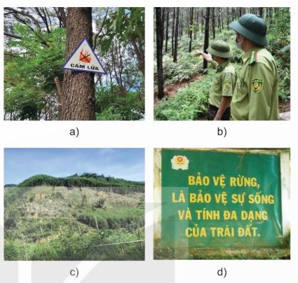 Một số biện pháp bảo vệ rừng (Ảnh Sách KNTT)