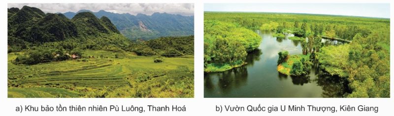 Một số giải pháp khắc phục suy thoái tài nguyên rừng