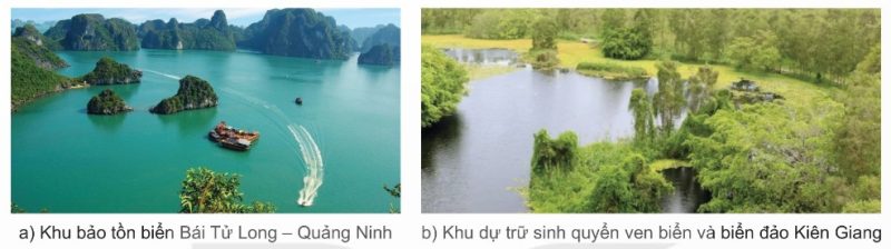 Một số khu bảo tồn biển của Việt Nam (Ảnh Sách KNTT)