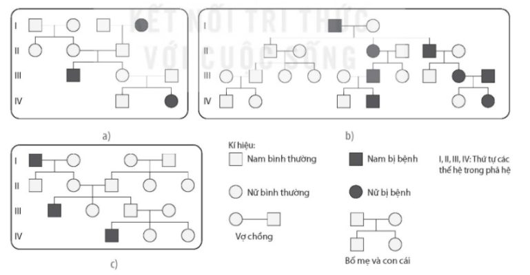 Một số phả hệ người: bệnh bạch tạng (a), tật nhiều ngón (b) và bệnh mù màu (c)