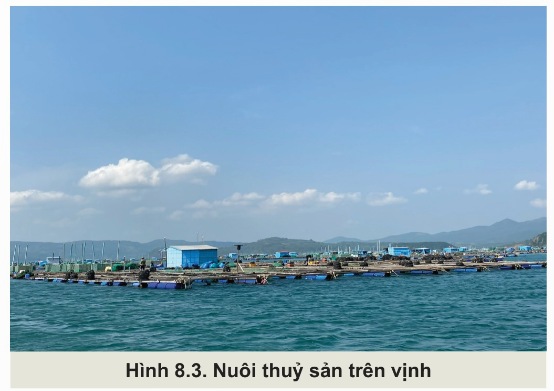 Nuôi thủy sản trên vịnh (Ảnh Sách KNTT)