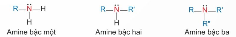 Phân loại amine