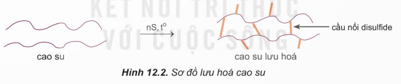 Phản ứng tăng mạch polymer