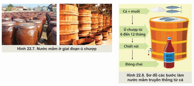 PHƯƠNG PHÁP CHẾ BIẾN THỦY SẢN (Ảnh Sách KNTT)