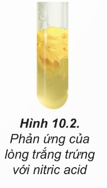 Quá trình thủy phân