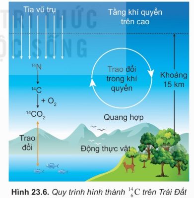 Quy trình hình thành C-14 trên Trái Đất (Hình 23.6)