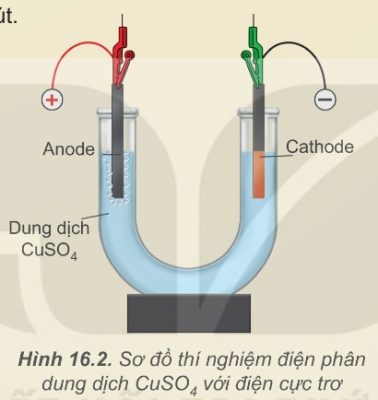 Sơ đồ điện phân Cuso4