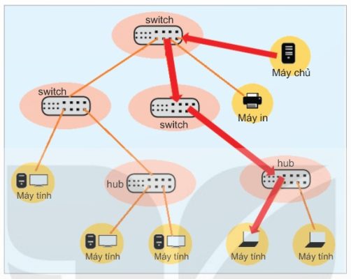 Sơ đồ một LAN sử dụng nhiều tầng switch kết hợp với hub (Ảnh Sách KNTT)