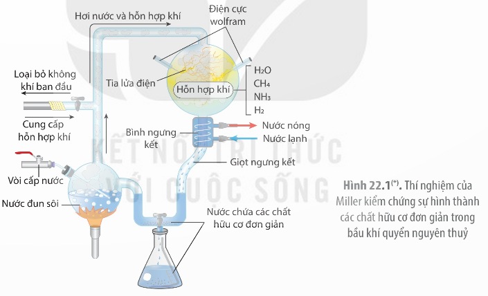 Sơ đồ thí nghiệm Miller - Urey