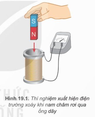 thi-nghiem-hinh-19-1