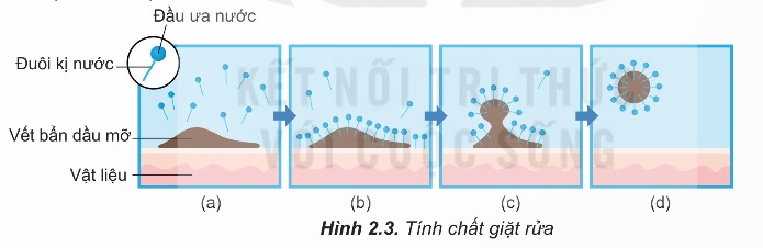 Cơ chế hoạt động của xà phòng và chất giặt rửa