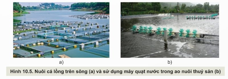 Tính lưu động của nước