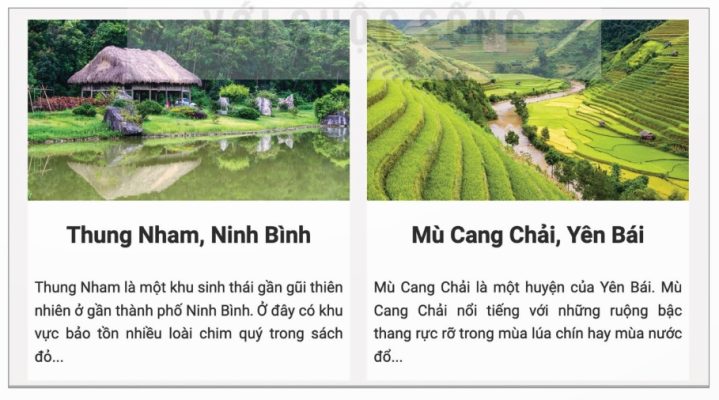 Trang web có cấu trúc nội dung hai cột (Ảnh Sách KNTT)
