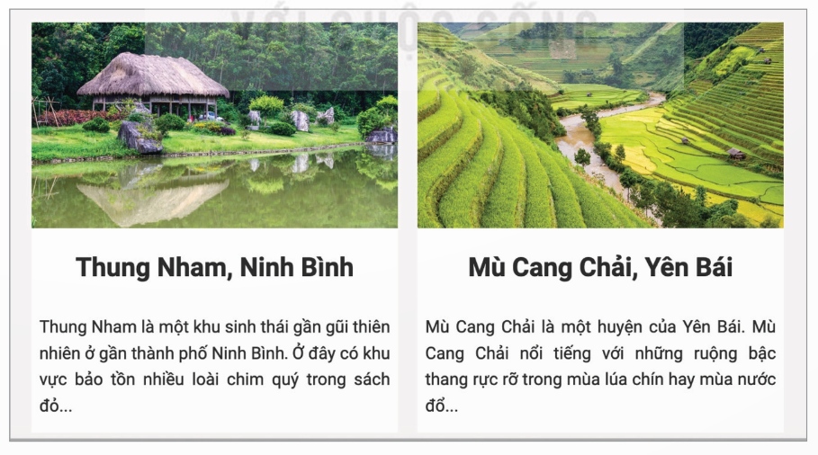 Trang web có cấu trúc nội dung hai cột (Ảnh Sách KNTT)