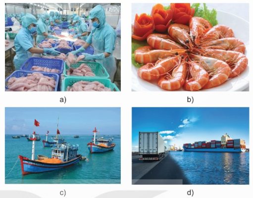 Vai trò của thủy sản (Ảnh Sách KNTT)