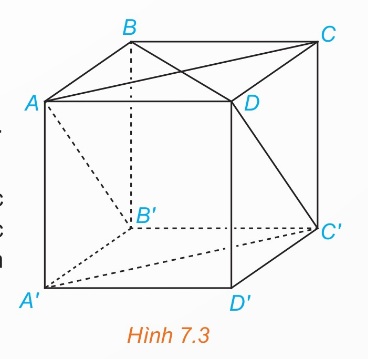 Xem Hình 7.3 SGK.