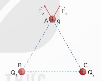 Các lực điện do Q₁, Q₂ tác dụng lên điện tích thử q tại điểm A